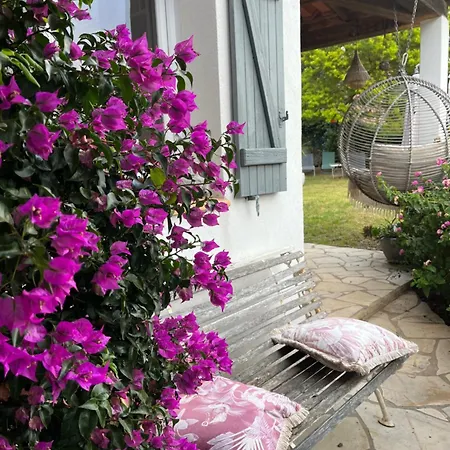 Pleine Vue Villa La Seyne-sur-Mer