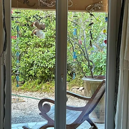 Pleine Vue